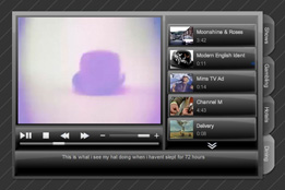 Flash Video Gallery Interface