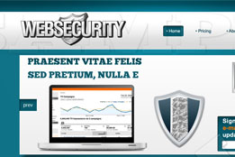 Web Security Site Sample